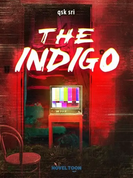 The INDIGO