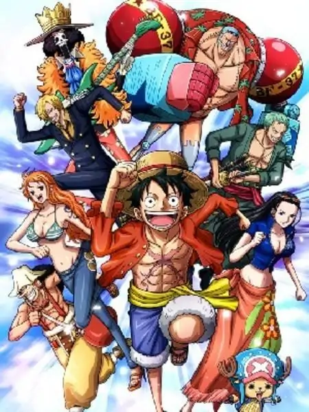 One Piece In Your World