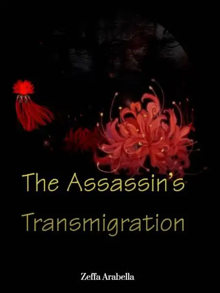The Assassin'S Transmigration