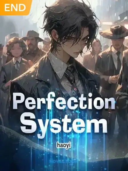 Perfection System