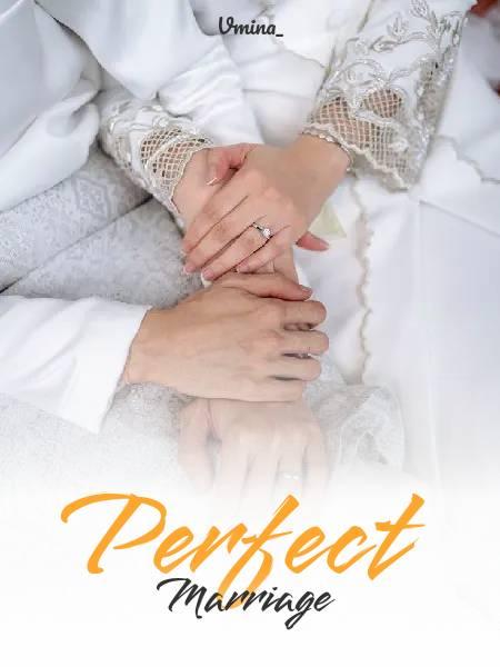Perfect Marriage