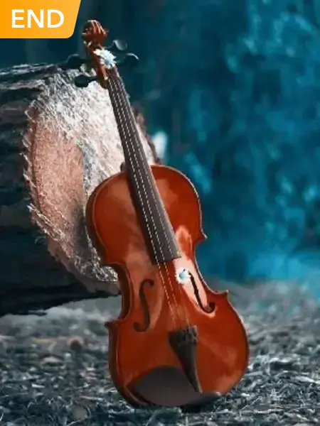 الكمان هو صديقي الوحيد