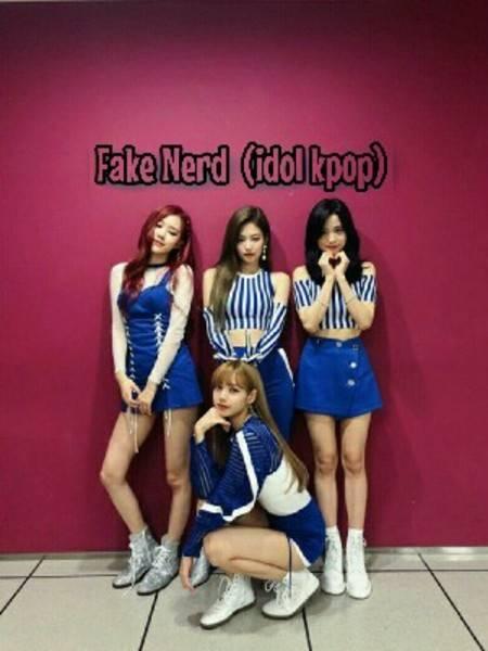 FAKE NERD (Idol Kpop)