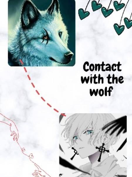 Contact With The Wolf