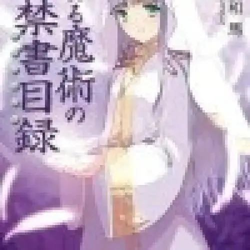 Toaru Majutsu no Index (Novel)